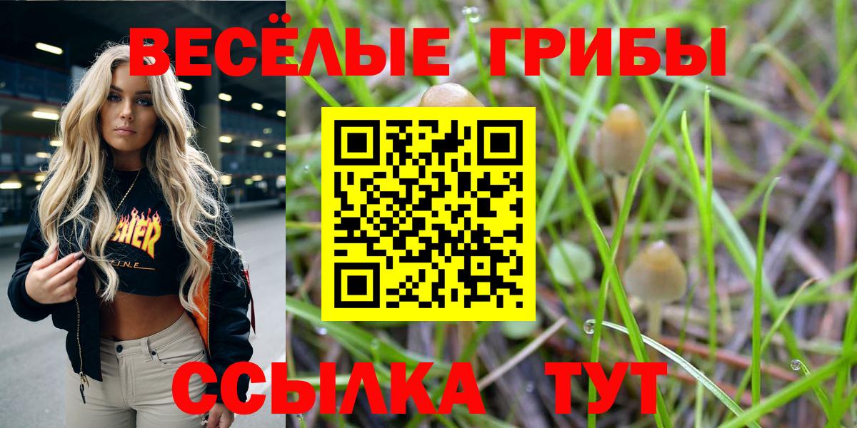 Псилоцибиновые грибы GOLDEN TEACHER Кохма