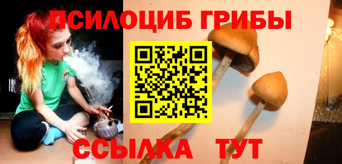 купить наркоту  Вход с VPN  Кохма  Псилоцибиновые грибы Cubensis 
